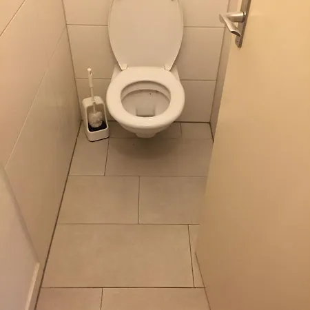 Msf *